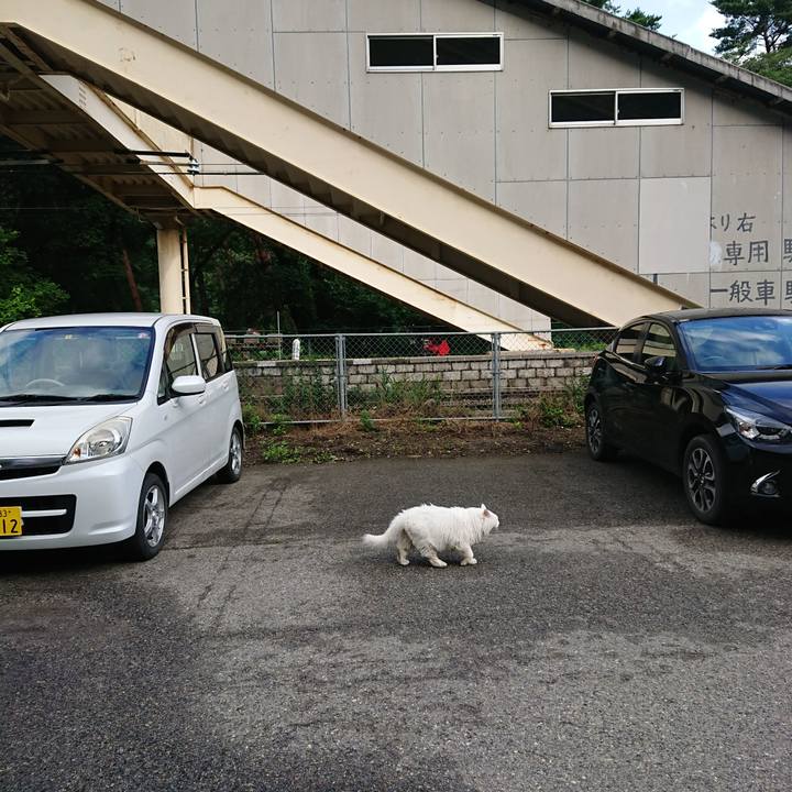 3a13ecb4 dc3e 457d b338 b1f745c45fc7 1564958246134