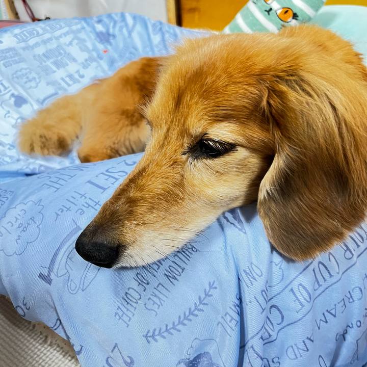 3a1408b8 53fb 4f70 8ce8 1cb678ac822f 1653051508940