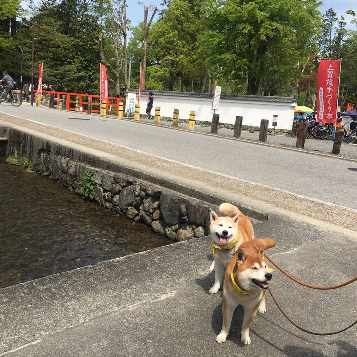 3a1435e0 3dea 426a b4cb e78ad2e85849 1524371469766