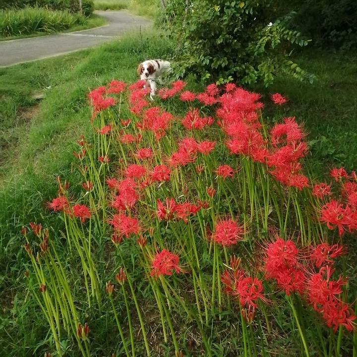 3a1478dc 46b2 4963 a36d f08b9e001bae 1569315216258