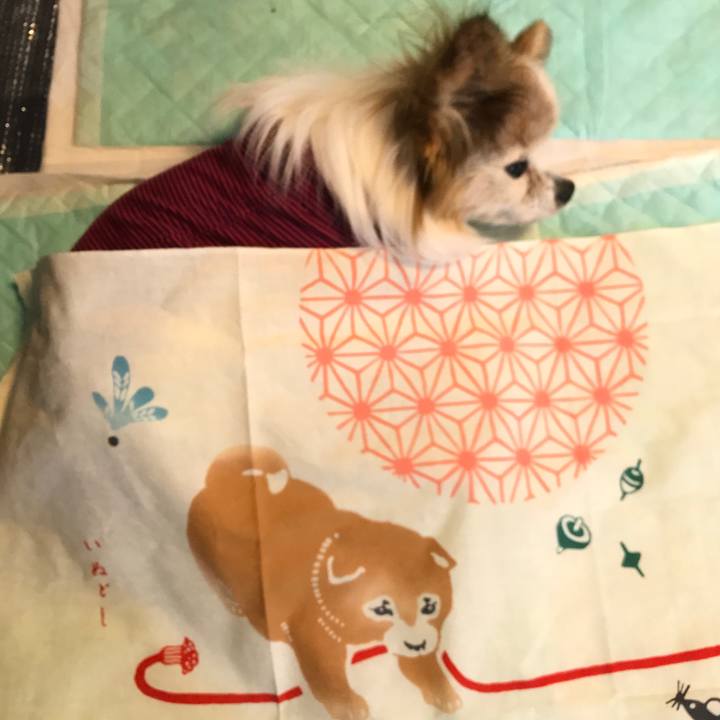 3a1482f6 3568 43ba adfd 656b3efbcef2 1514732977929