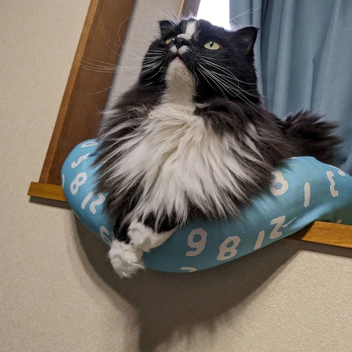 3a149697 d987 48c6 a12d bb25ea9c4f18 1687813912498