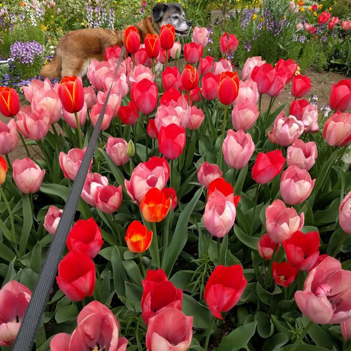 3a14d5b8 cb03 4ec8 9895 5e2c4a016db9 1554599192922