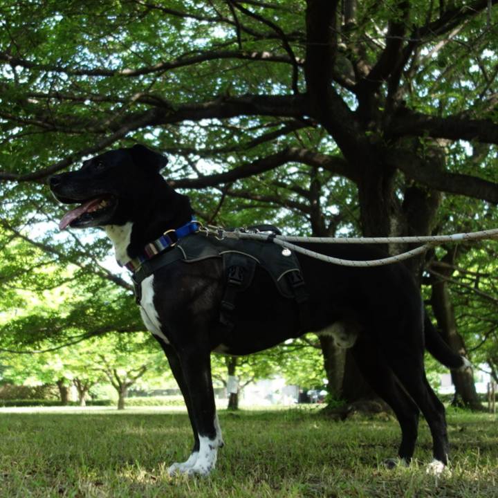 3a14e0ad 90ad 4995 a4a5 a3a08b210649 1653351758466