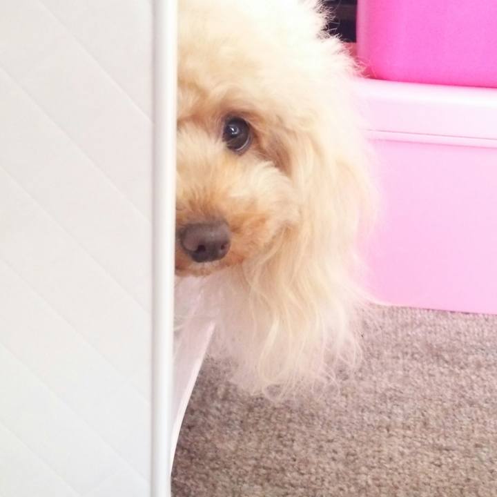 3a14f71a 4056 4873 83e8 09472fb9ccc4 1547814134747