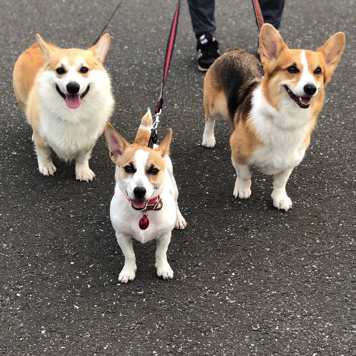 3a150a46 73ef 4ae1 882c 5a26b5873ee0 1562340049008