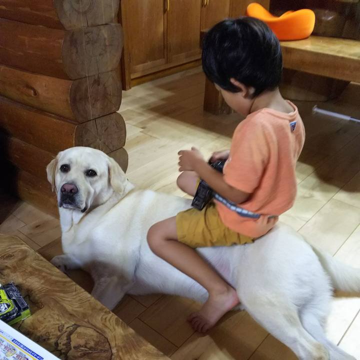 3a15b0b7 34b5 4d66 a1be 2949b328e669 1569735364429