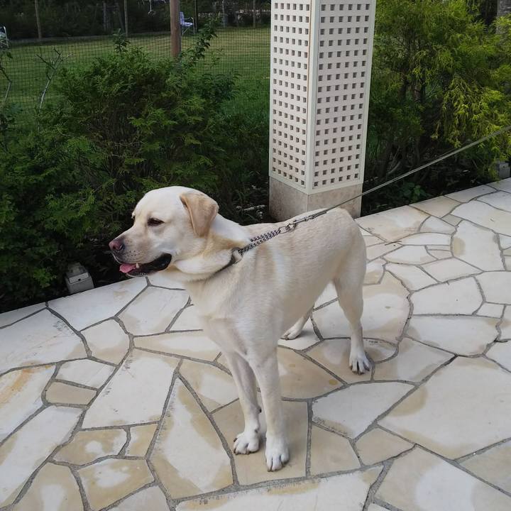 3a15bdd1 00dc 4448 acc1 13c543deb33b 1532934363487