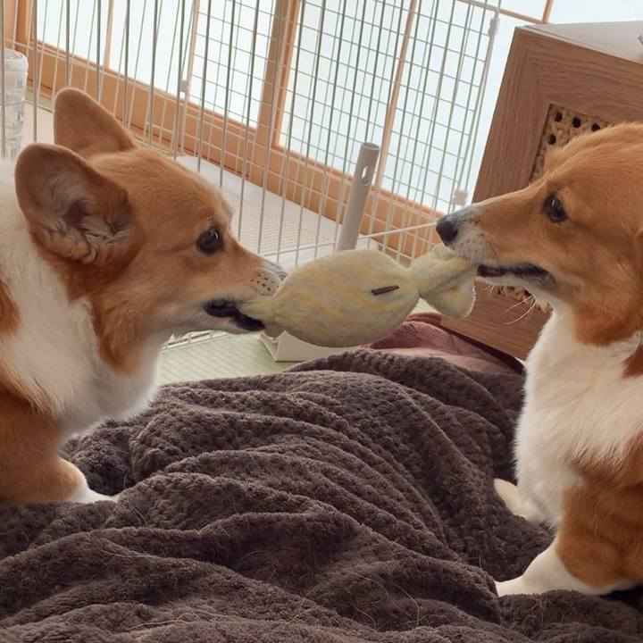 3a160303 82a3 498a aff3 7a330220a04f 1671079895181