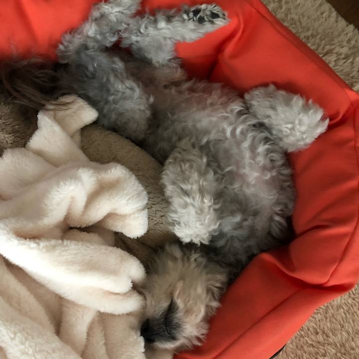 3a160f8b f594 4859 b631 9eceafcd3d67 1562798726489