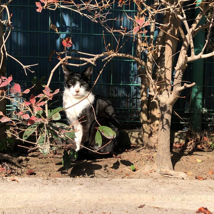 3a1626f5 f4b4 4b28 97a8 5fbb90cbc7d1 1609361528723