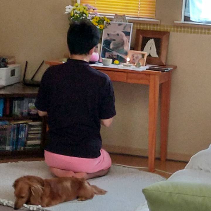 3a16286f 0ac9 4642 a8a2 673d14d48fc0 1629471752246