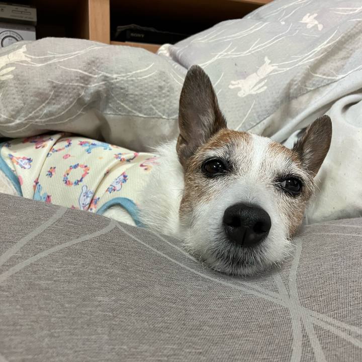 3a165c14 a869 4a53 a53e fe086eab6059 1684365849267