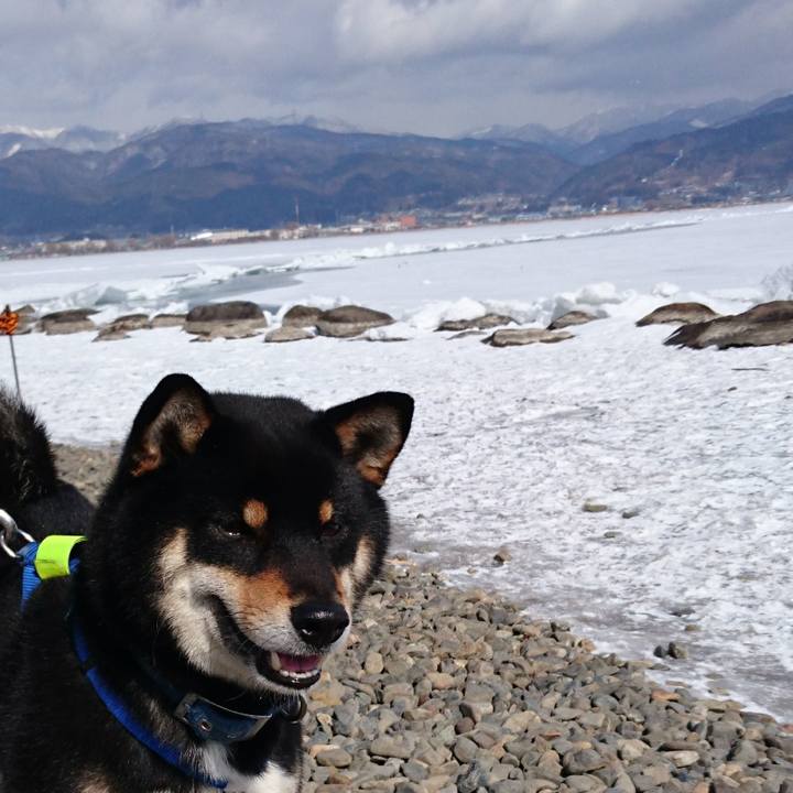 3a16dbc6 14a6 4193 b499 69a368eae25c 1518408628405