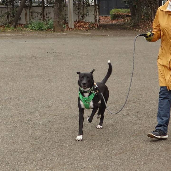 3a1778a9 e4e2 43d9 8f91 be90b4b31158 1581902660666