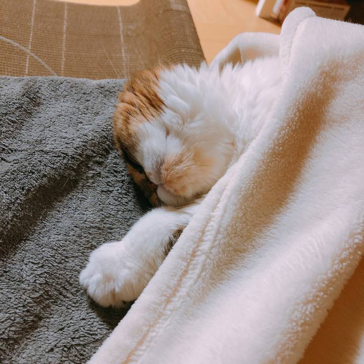 3a17d953 a7b1 4641 b30f c9cab197b302 1545312131426