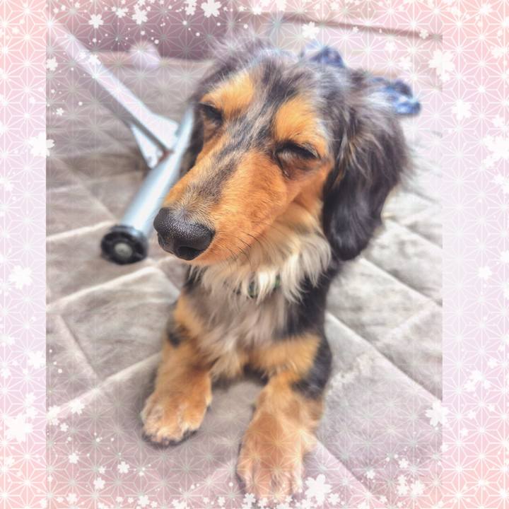 3a17df70 8b84 4465 b604 d8b2f17eae49 1741344271574