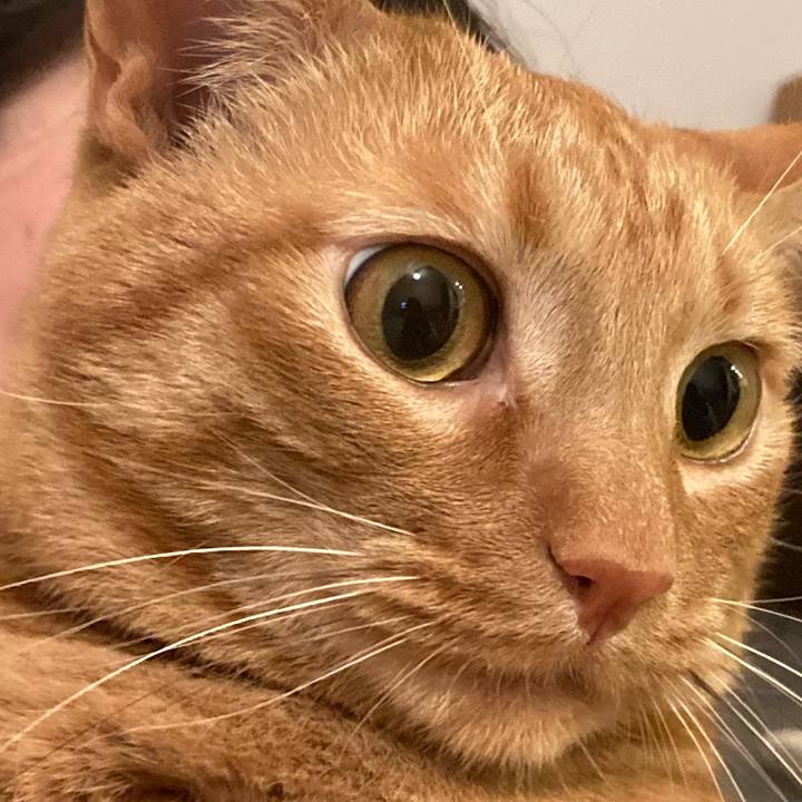 3a17f9d1 75a2 41bc ac14 f028d03dff2f 1616415830184