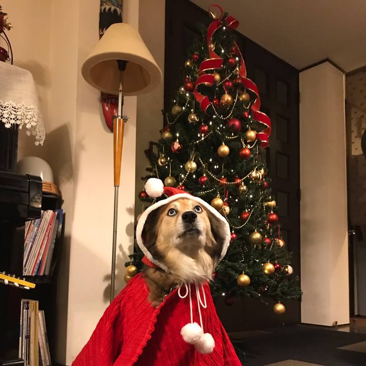 3a180eeb 8cf4 4361 bf38 937ac6252ec1 1545726721261