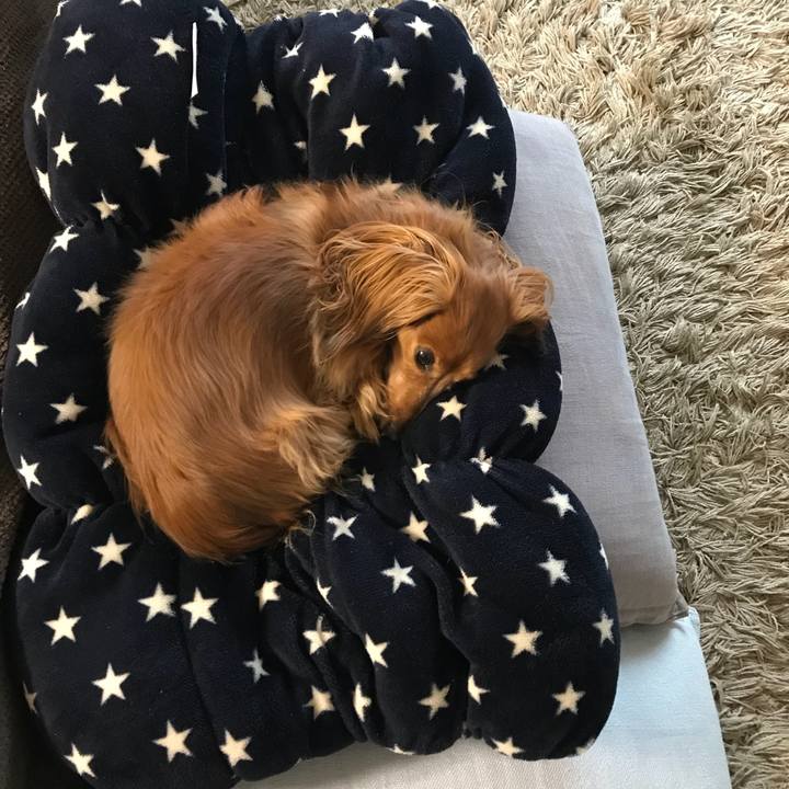 3a18578d 0e85 4c48 a996 234a6a7c870a 1519543709857