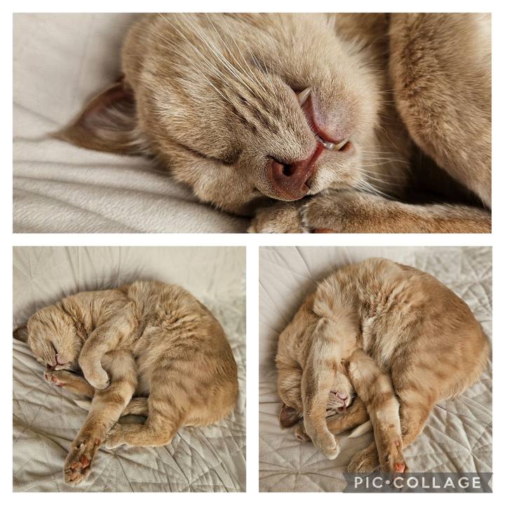 3a18dd49 978a 4ced 80c1 8d7ab6db0630 1720313547535