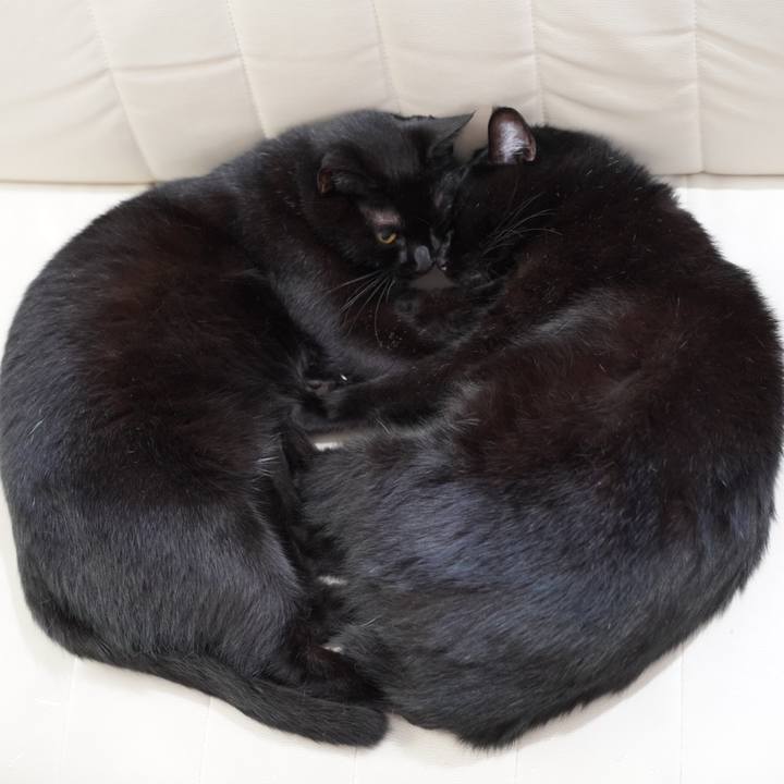 3a18ec75 00d8 44c9 89b3 f77bf789e080 1631202028201