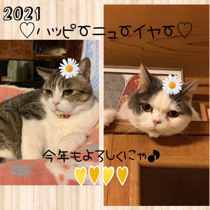 3a192818 08ac 461b 88de 1561798c0232 1609593283031