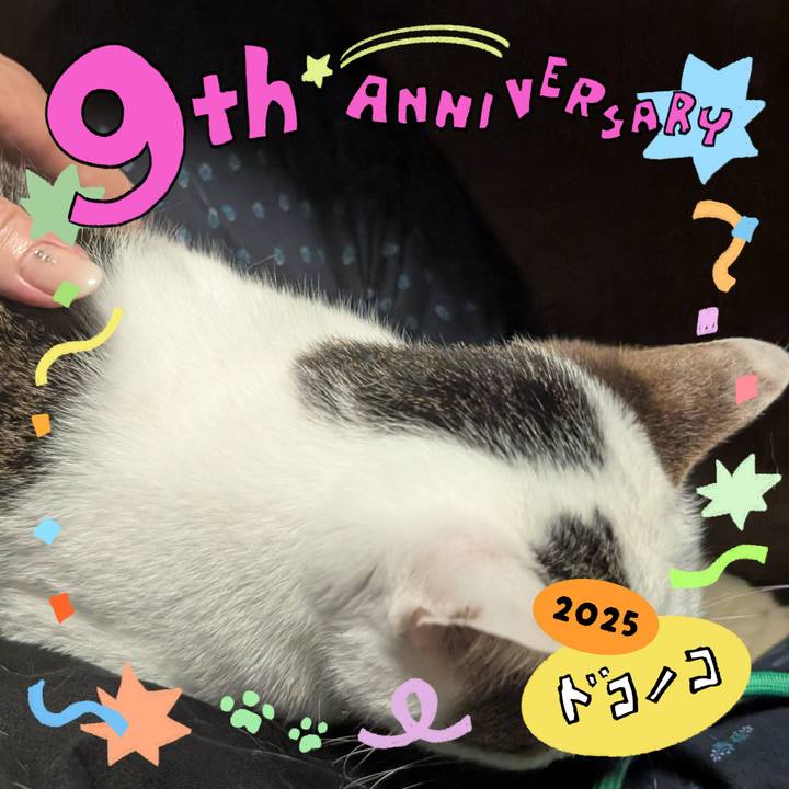 3a192e60 5429 45e8 8574 d96a79130f59 1749647104838