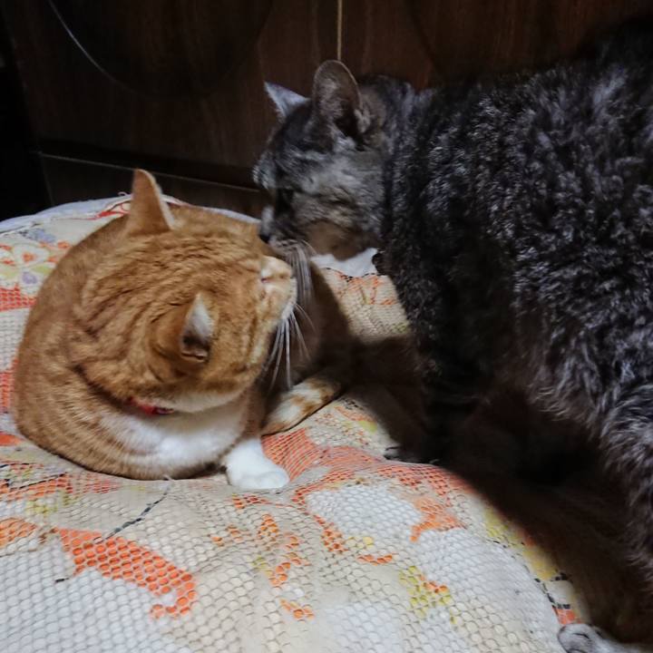 3a1930ef eb86 49a5 a2a7 59e81b8a7b6b 1578053652385