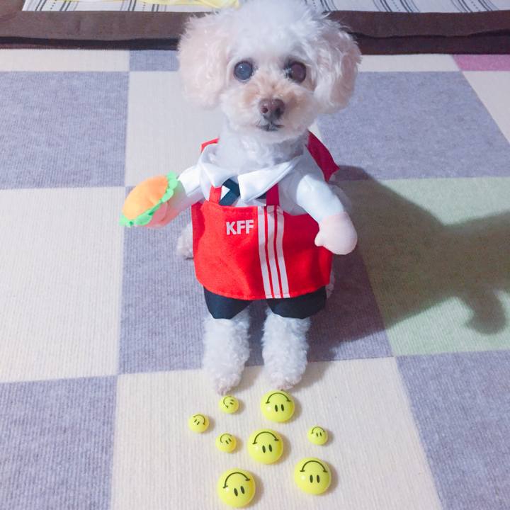 3a193e9a 945b 40a0 ad39 14ee7f58ddde 1535370347314