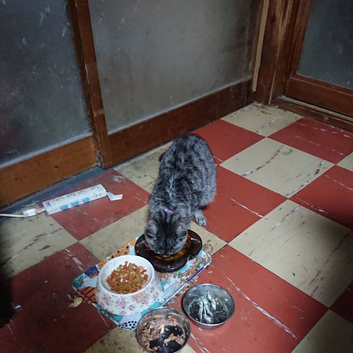 3a195fbd 6673 401e a759 df8b110dbb98 1582234994878