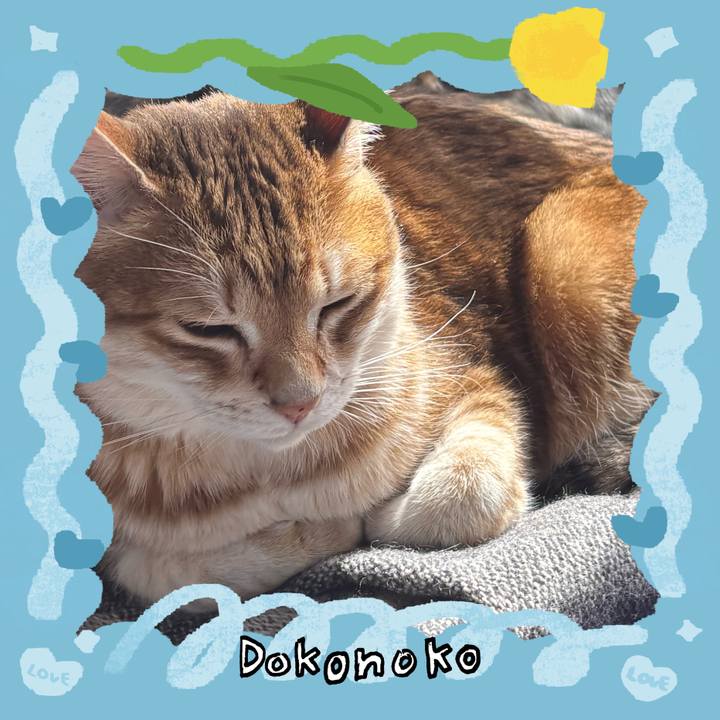 3a19616e 09da 4fab 9265 0f23f7c4c762 1772498999982