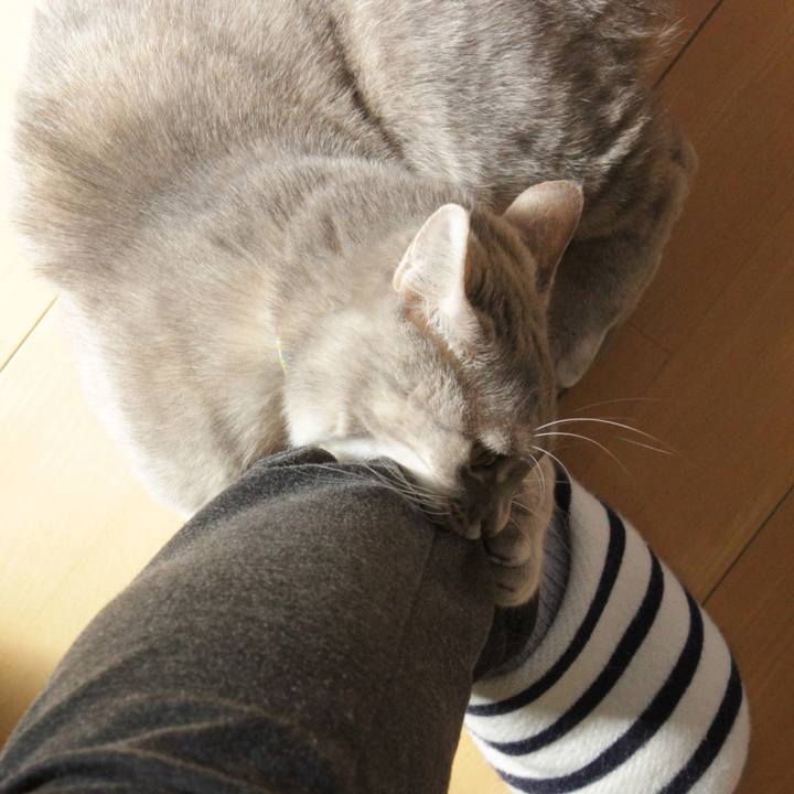 3a19da43 acf7 4b55 9e24 8704c0d697cc 1581063358881