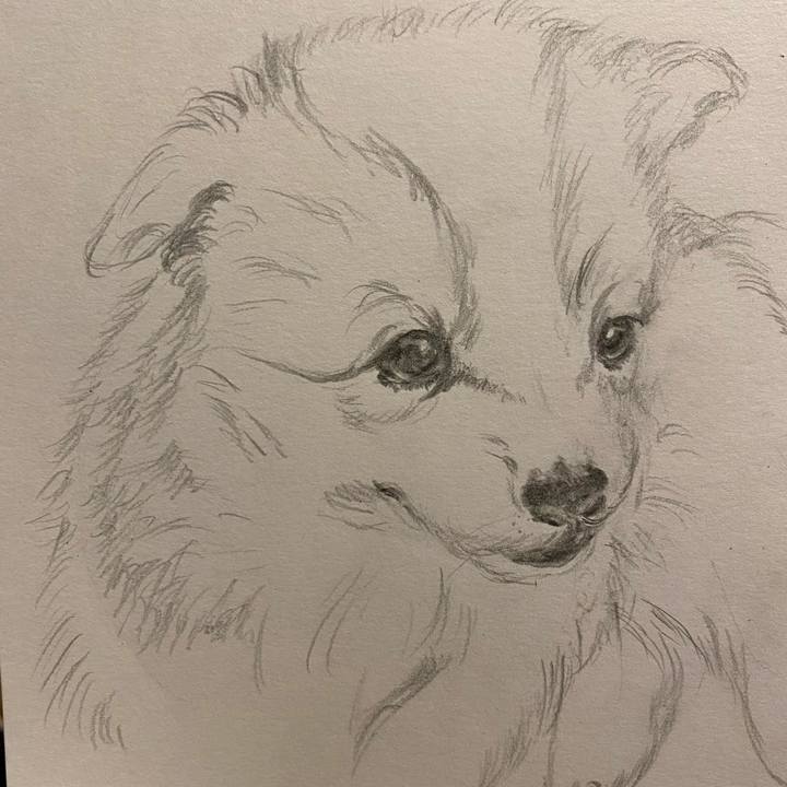 3a19f13b 6d3e 4fb7 bdc6 0ab6de586826 1622904271486