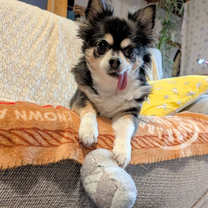 3a19ff09 4dfe 48b0 a614 a05db47e6628 1772278794988