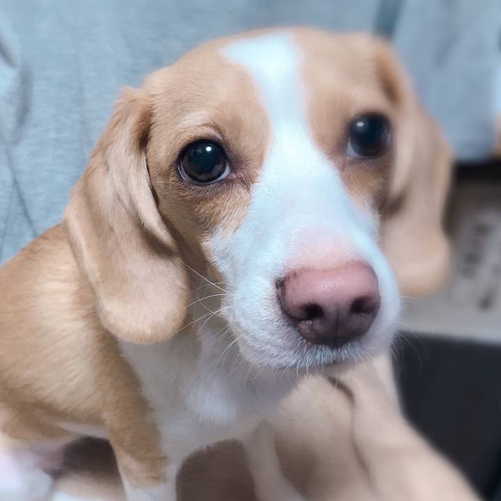 3a1a33bd fc50 4675 bede 8c93e1f925bd 1568721023370