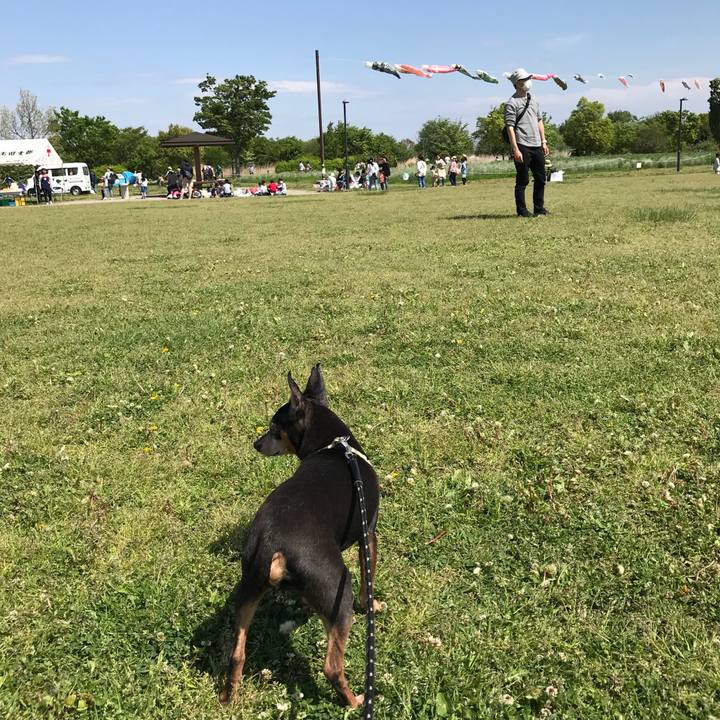 3a1a8bf1 fccd 4ce8 b446 2f5d3279a79a 1556787979844