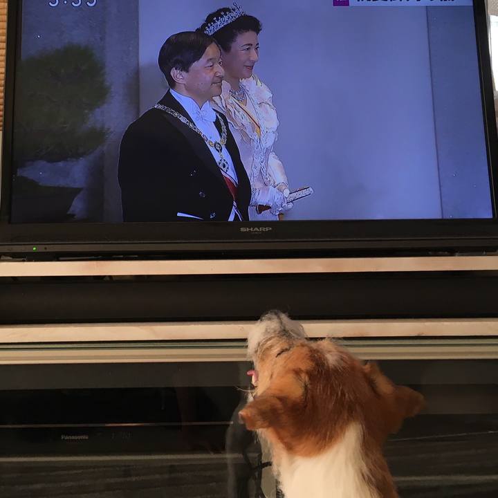 3a1a8cb6 e9b0 4bb7 a78a f71c692ec48e 1573399359540