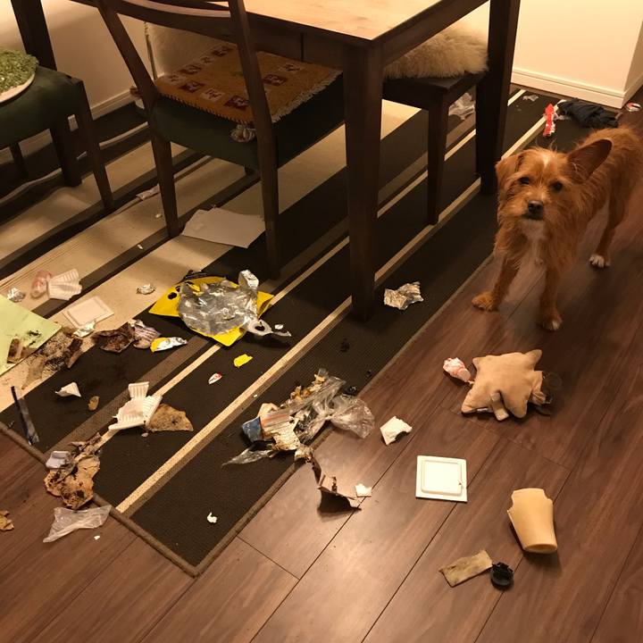 3a1ab1e5 d118 421b b2db 59781bd56e84 1544272115725