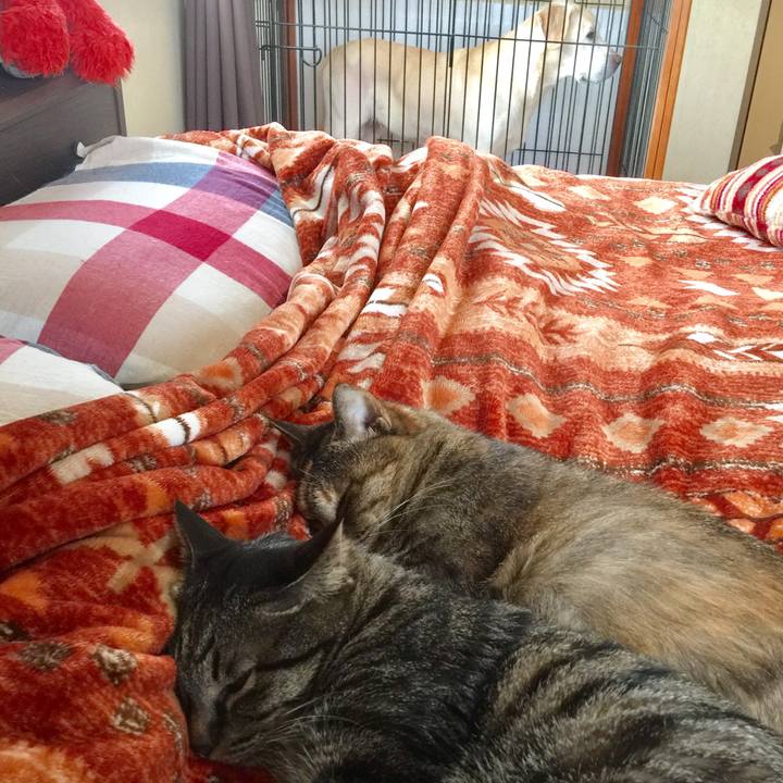 3a1ab561 e96f 4718 aff7 33e04740fc4f 1521346018985