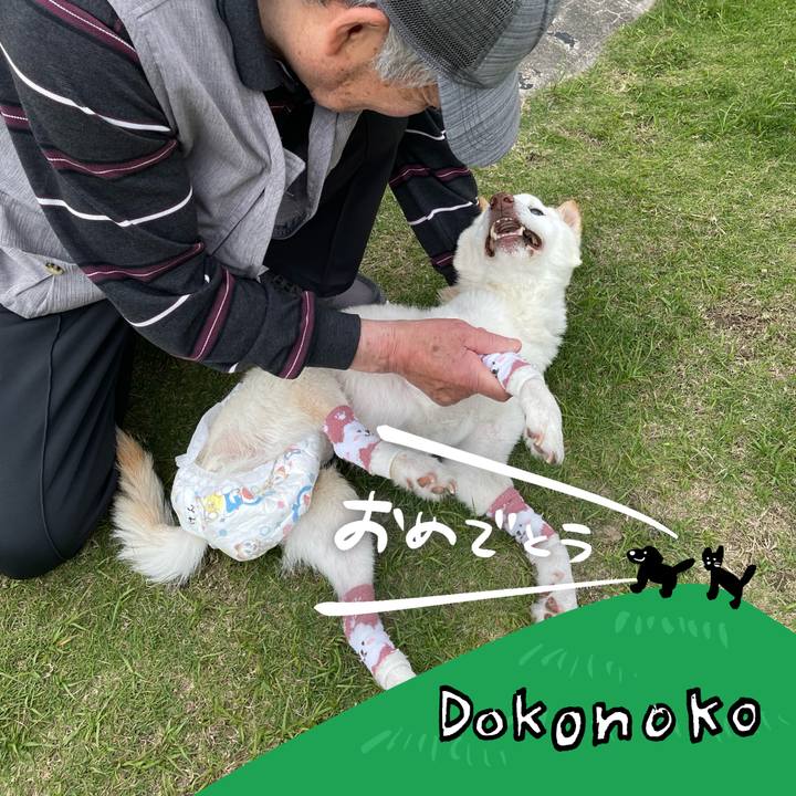 3a1ac686 0e15 40af 9dd8 3b9cdac1fa05 1685970010167