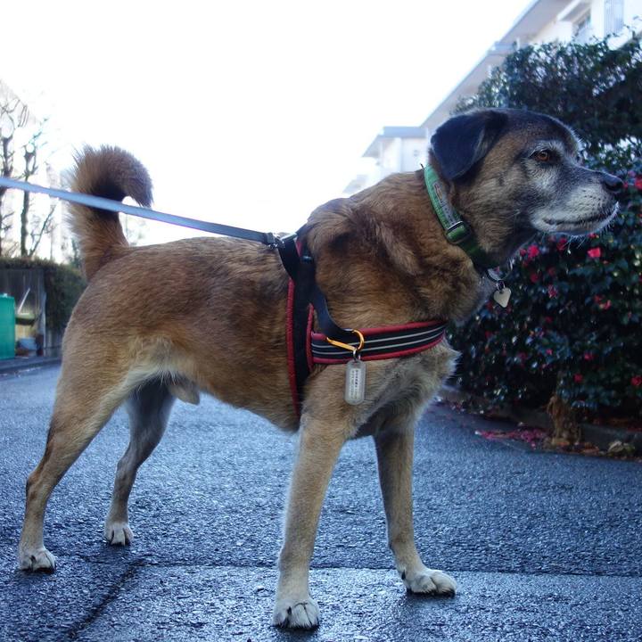 3a1b0bfb 92c2 41b5 85f2 7df8e398a282 1624063781629