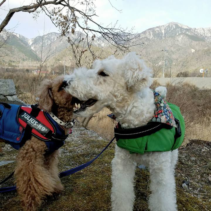 3a1b6b0c 08cc 4992 923b 1711506544d1 1515809535338