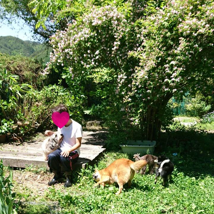 3a1b77a0 cf20 4984 97e7 cbc764e294fe 1526784463361