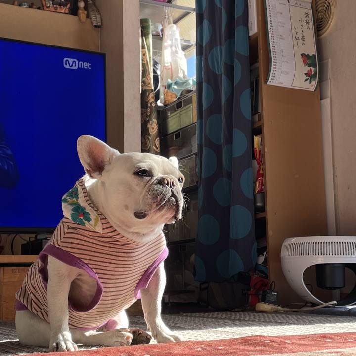 3a1b7a08 6511 4640 b151 14a3568c8928 1737708779467