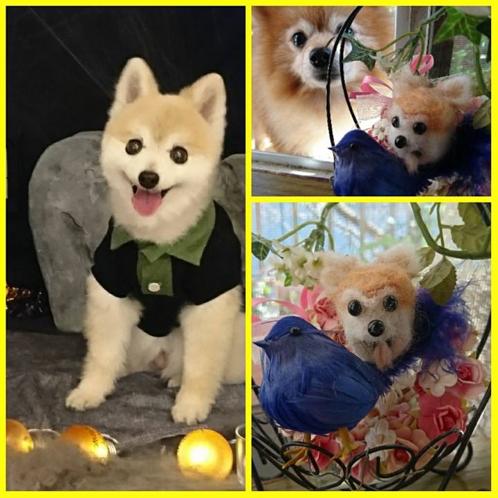 3a1baf14 6316 4175 afe8 b9066d9dfd06 1509676804542