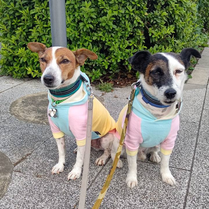 3a1bb4d2 f0f4 4d67 9b3f 3f008b11910a 1698101145446