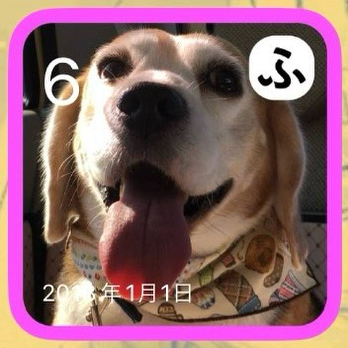 3a1c11c1 e049 4f7a a8bb 72641a3aec14 1704497797572