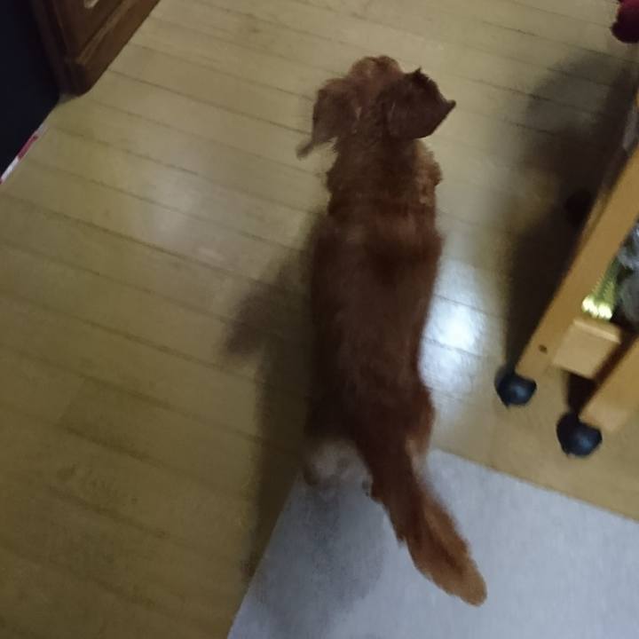 3a1c2d6a 0ecc 4004 8b54 0bdb76305114 1511682910937