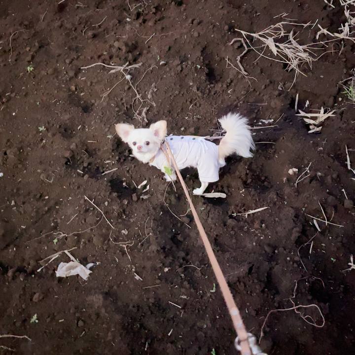 3a1c3999 78a4 42a8 aed6 dd533007d953 1696508873616